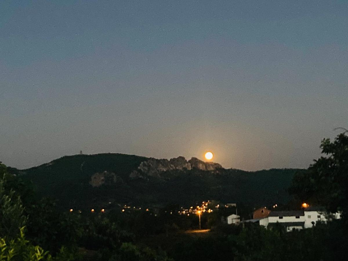 Monte Cerejas * Montes da Senhora